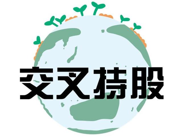 交叉持股安排设计(交叉持股怎么计算持股比例)遂宁市